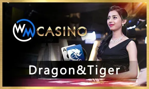 Person playing online slots with winning strategy